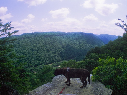 New River Gorge